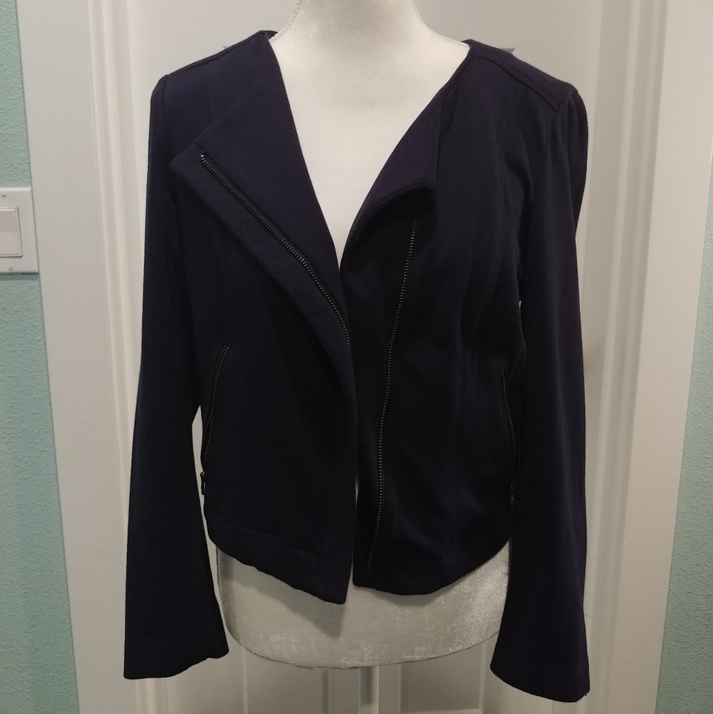 Loft Navy sweater